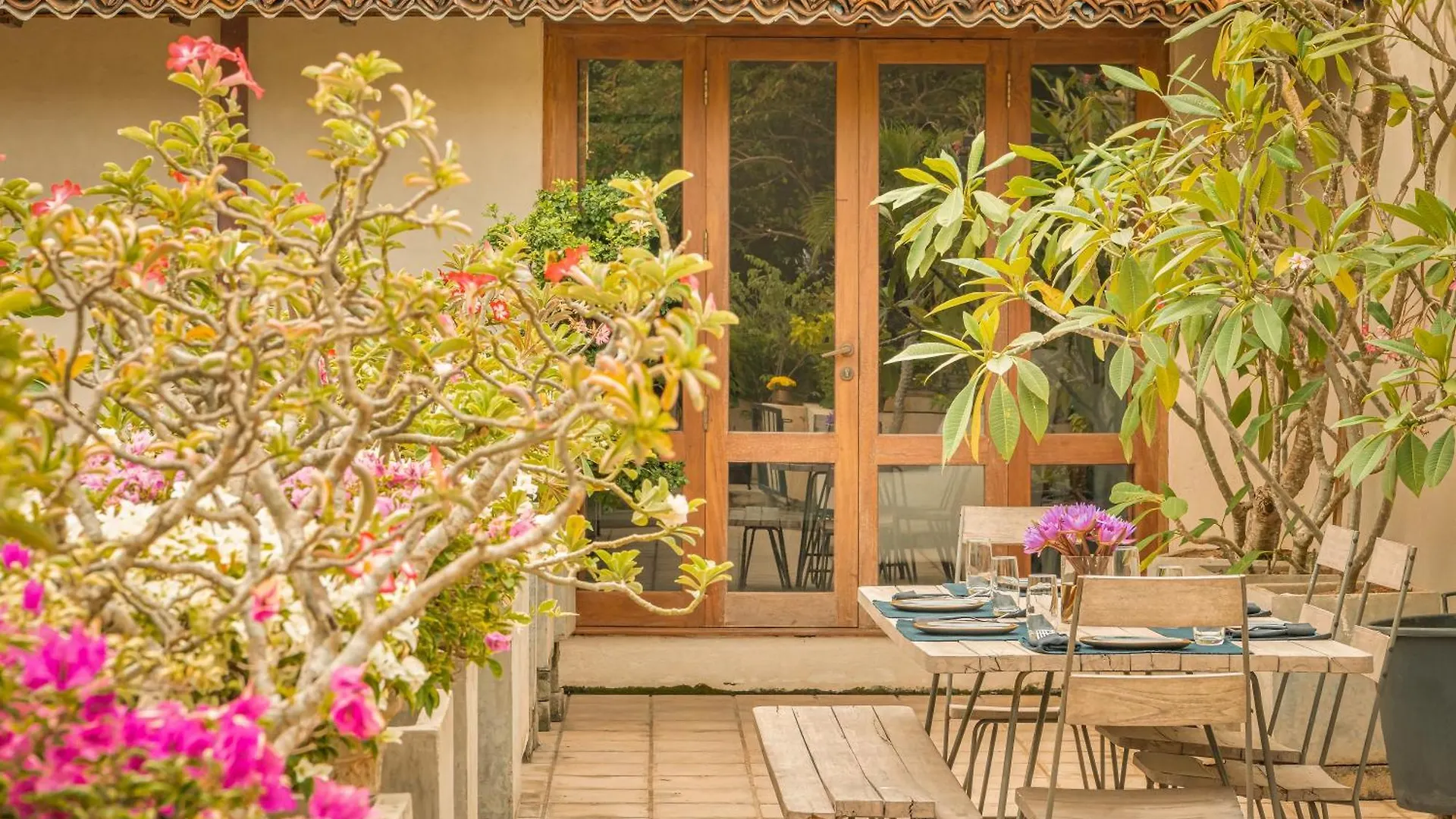 Ishq Colombo Bed & Breakfast