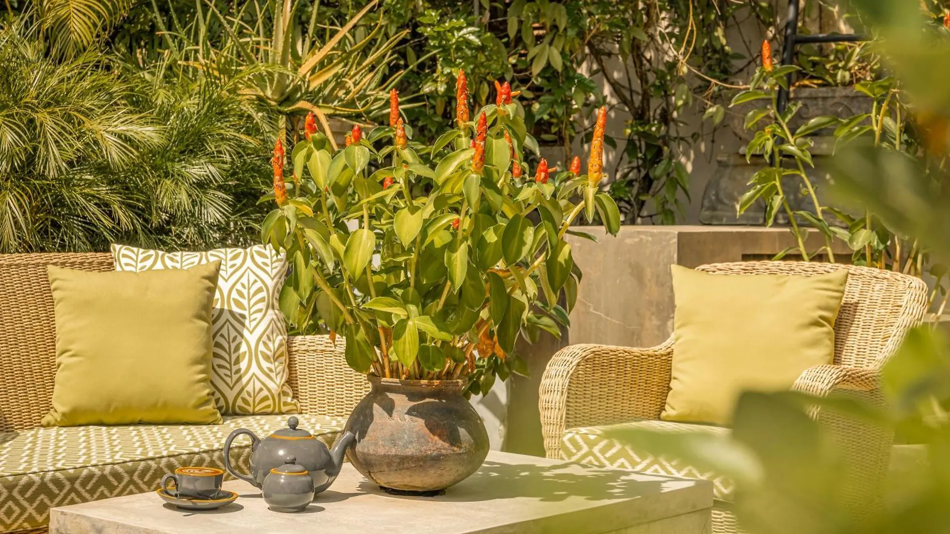 Ishq Colombo Bed & Breakfast Sri Lanka
